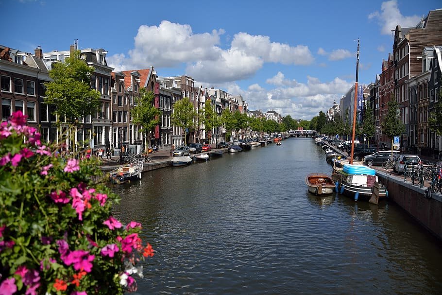 Canal Cruise: Navigating the Waterways of Amsterdam
