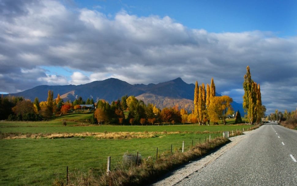 Central Otago, located in New Zealand's South Island