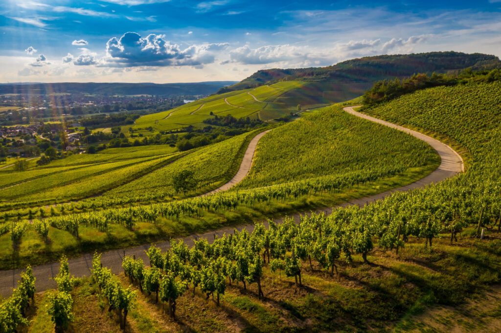Wine tourism is a trend