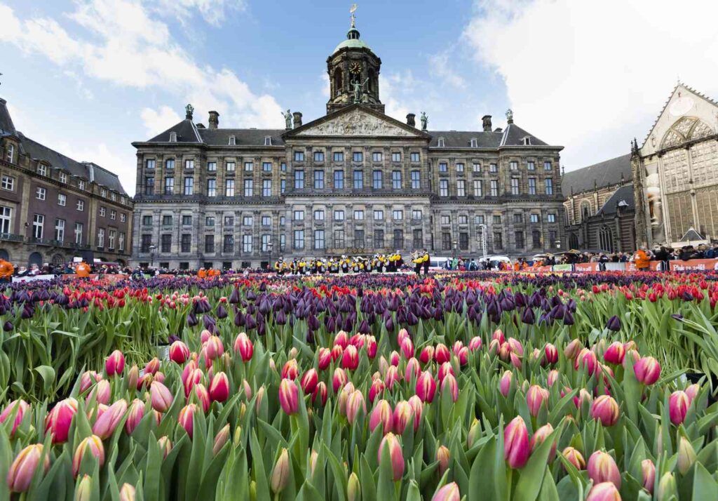Dutch royalty at the Royal Palace in Amsterdam